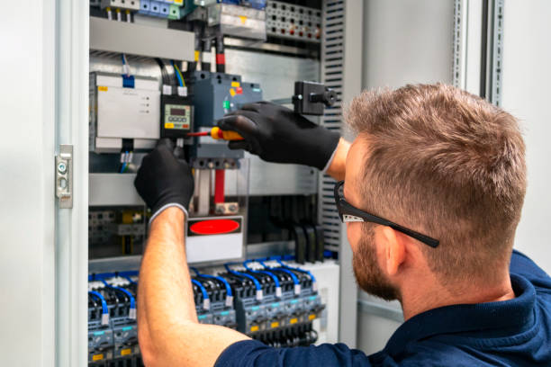 Best Ceiling Fan Installation Electrician  in Wolverine Lake, MI