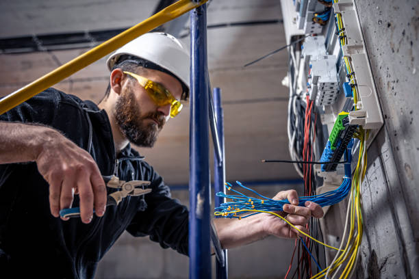 Best Electrical Repair Services  in Wolverine Lake, MI