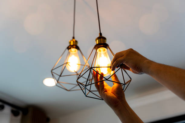 Best Local Electrician Companies  in Wolverine Lake, MI