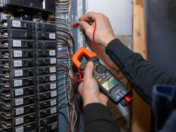 Best Electric Panel Repair  in Wolverine Lake, MI